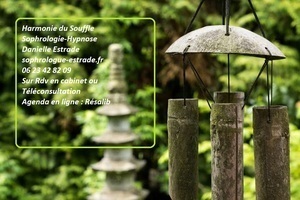 Danielle Estrade Surgères, Professionnel indépendant