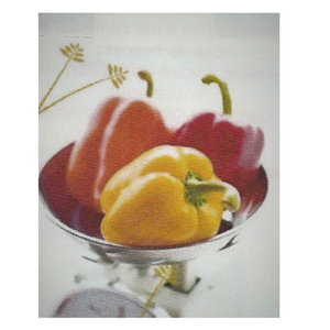 Anne Elisabeth MIGEON Saint-Jean-d'Angély, Professionnel indépendant