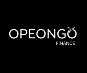 Opeongo Finance Urrugne, Professionnel indépendant